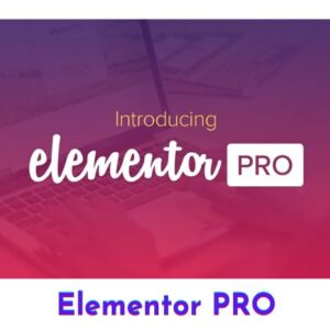 Elementor Pro v4.0.1 Plugin – Premium WordPress Page Builder with License Key